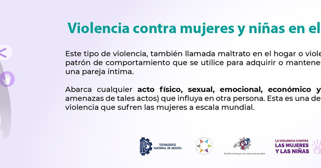 Violencia contra mujeres y niñas en el ámbito privado.